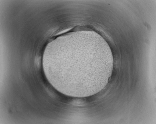 X0000116590070201001071242