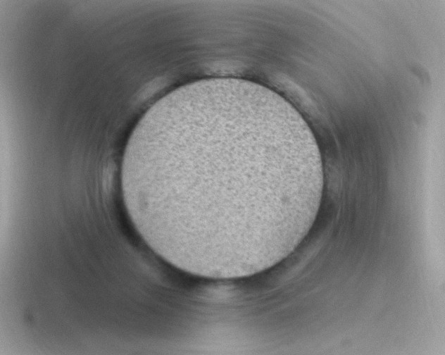 X0000116590071201001071242