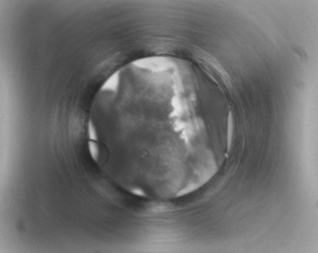 X0000116590073201001071242