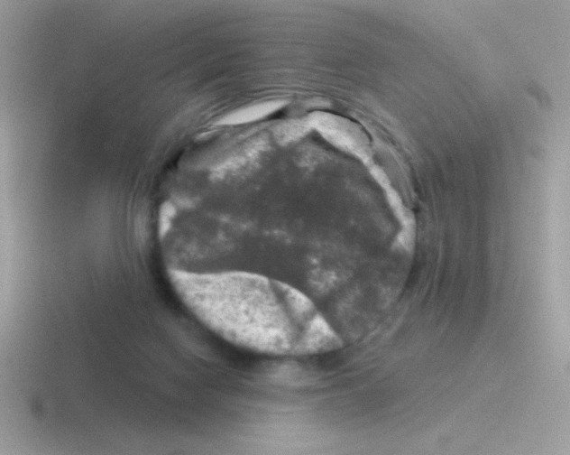 X0000116590074201001071242