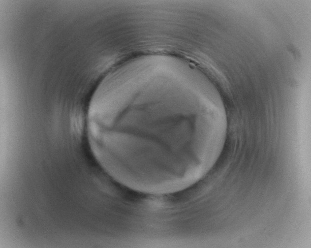 X0000116590076201001071242