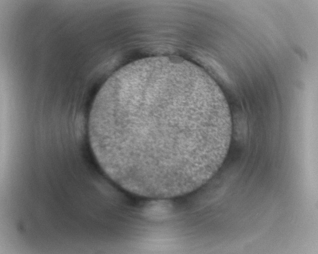 X0000116590077201001071242