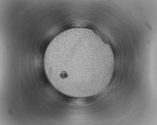 X0000116590078201001071242