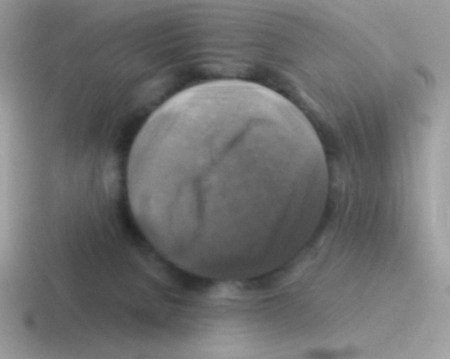 X0000116590080201001071242