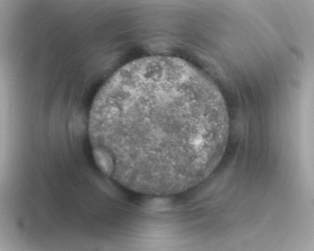 X0000116590081201001071242