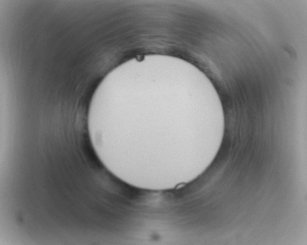 X0000116590083201001071242