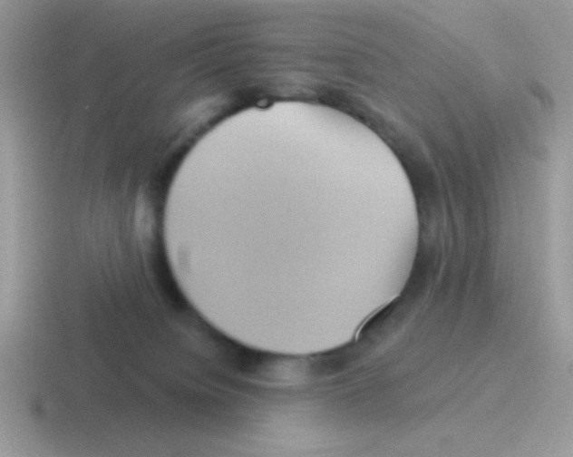 X0000116590084201001071242