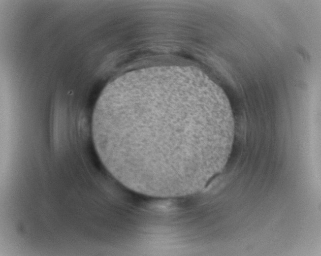 X0000116590086201001071242