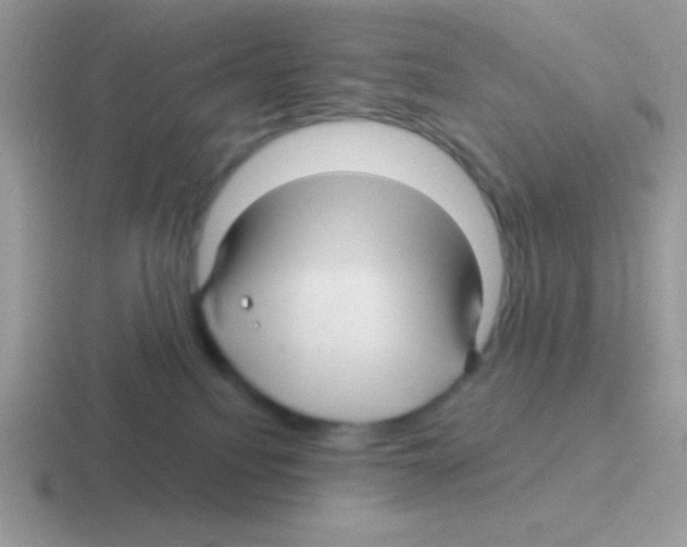 X0000116590088201001071242