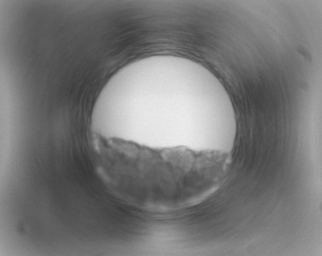 X0000116590089201001071242