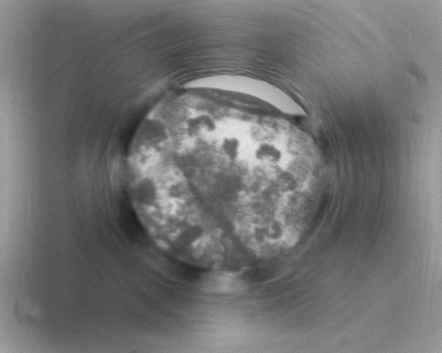 X0000116590093201001071242