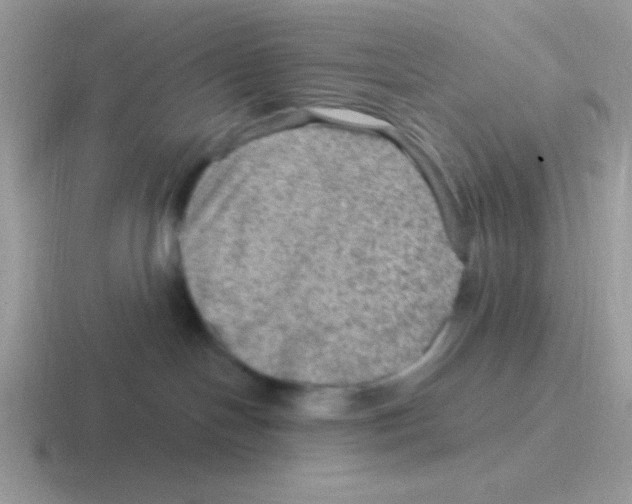 X0000116590094201001071242