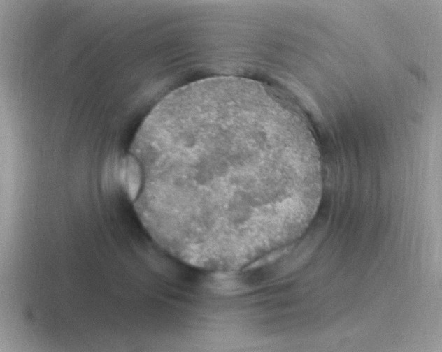 X0000116590095201001071242