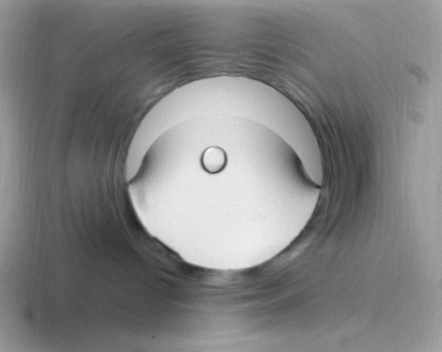 X0000116590096201001071242