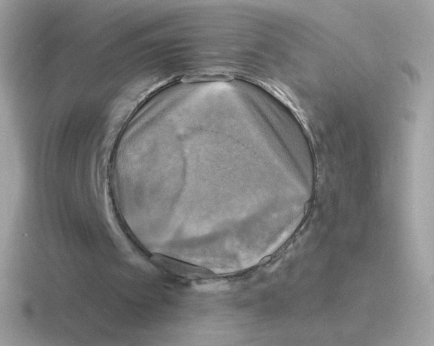 X0000116590097201001071242