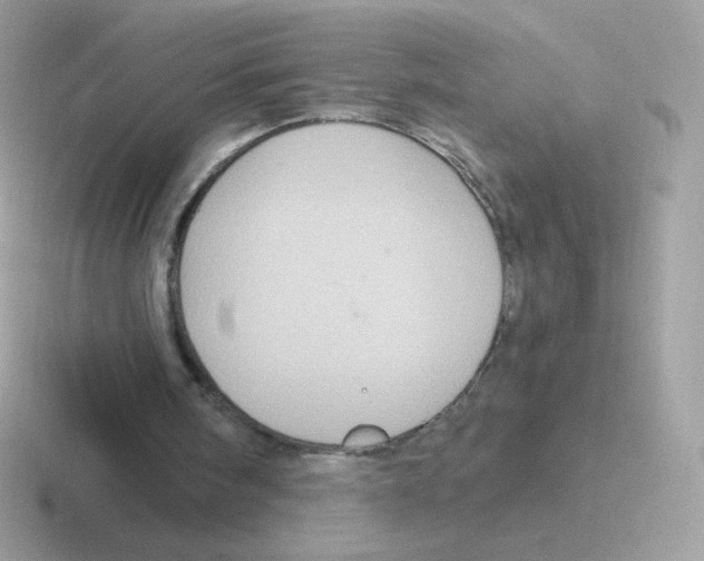 X0000116590098201001071241