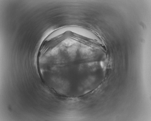 X0000116590099201001071241