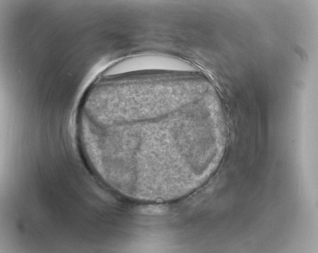 X0000116590102201001071241