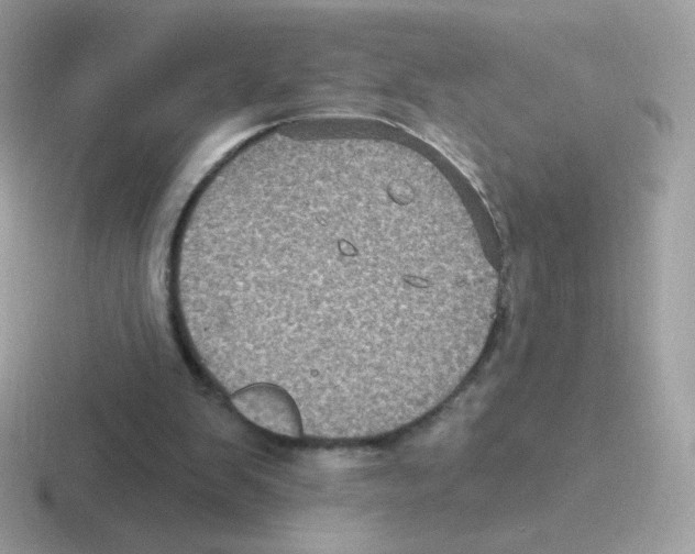 X0000116590103201001071241