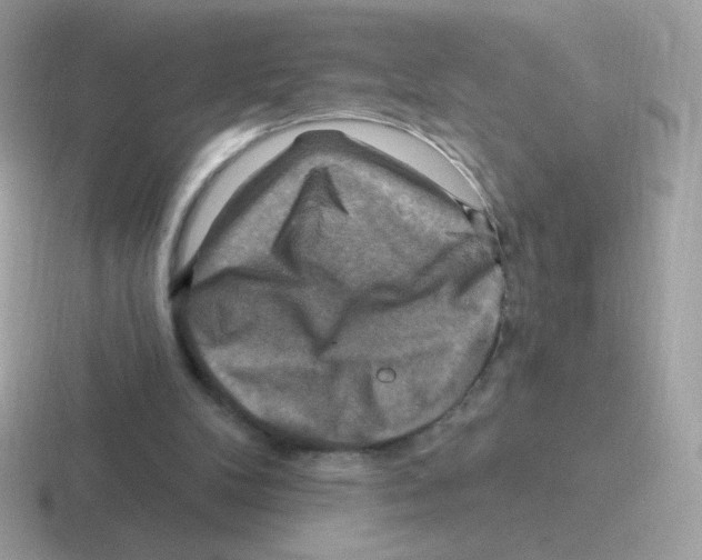 X0000116590104201001071241