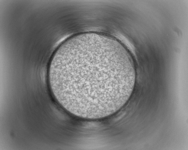 X0000116590107201001071241