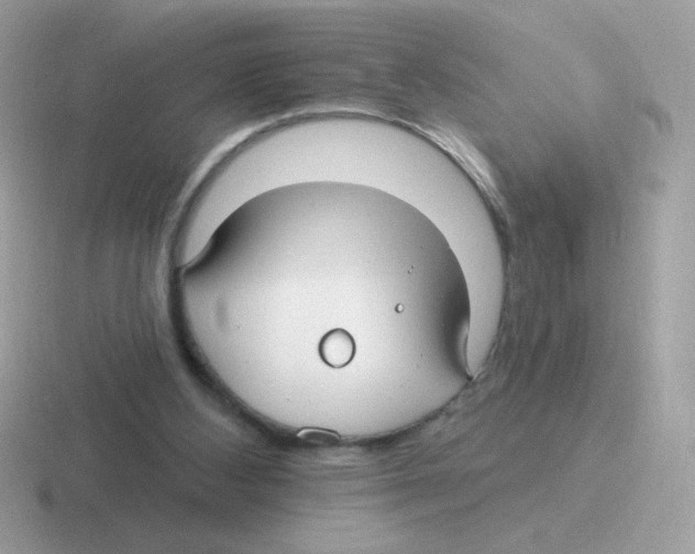 X0000116590108201001071241