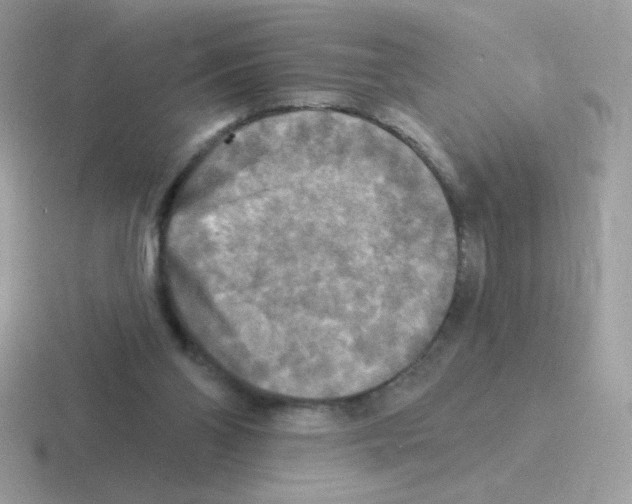 X0000116590110201001071241