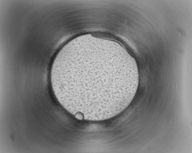 X0000116590111201001071241