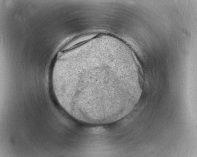 X0000116590112201001071241