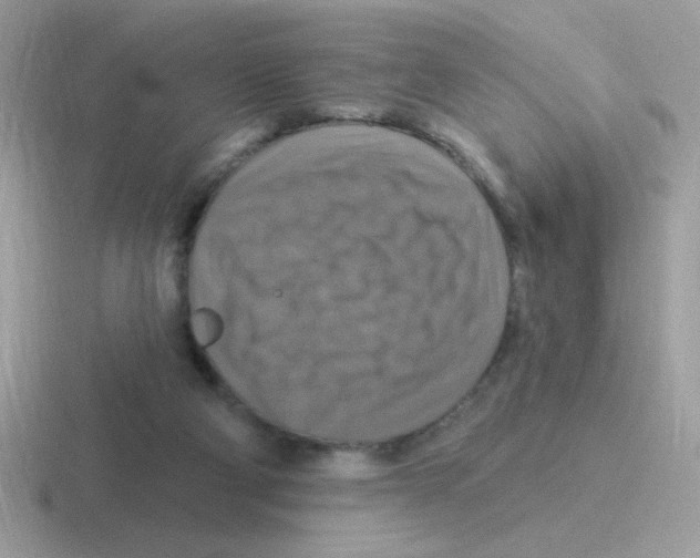 X0000116590114201001071241