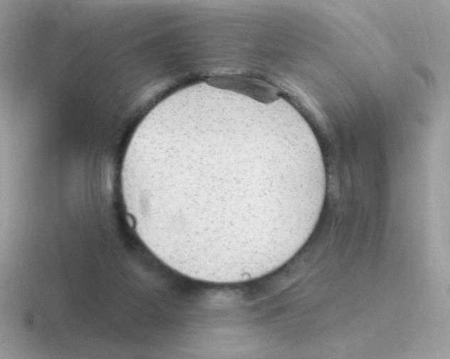 X0000116590115201001071241