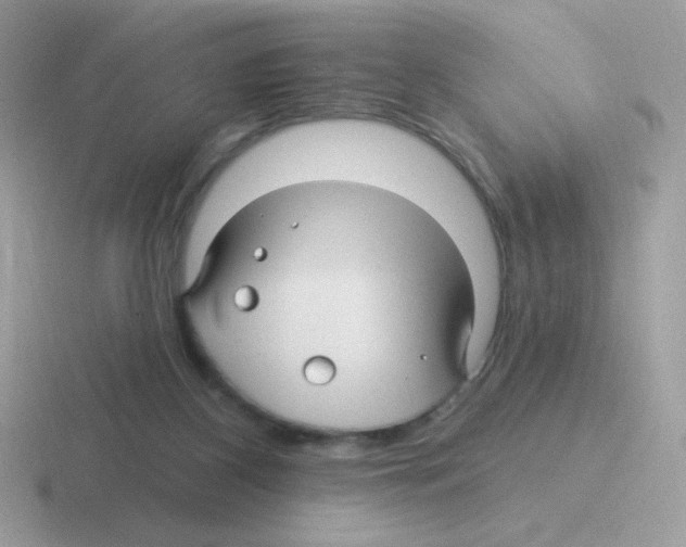 X0000116590116201001071241