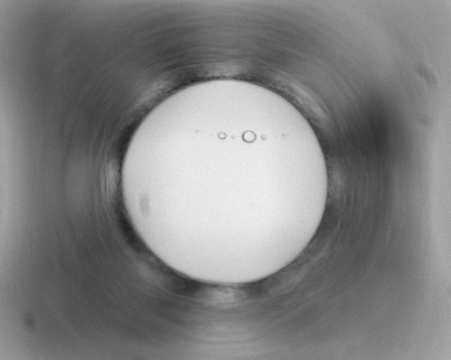 X0000116590118201001071241