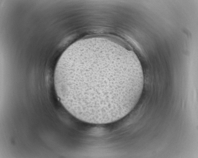 X0000116590119201001071241