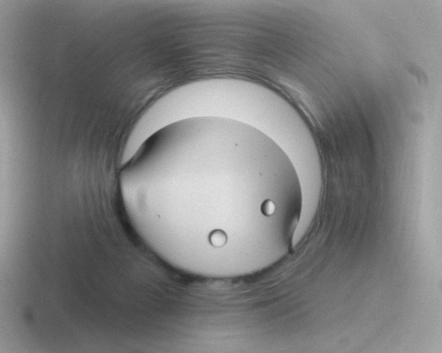 X0000116590121201001071241