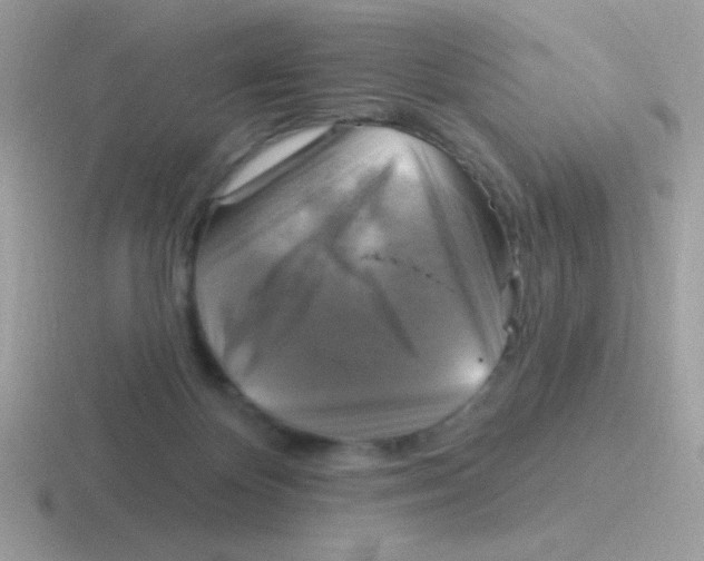 X0000116590124201001071241