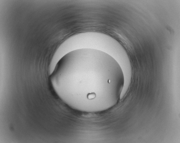 X0000116590125201001071241