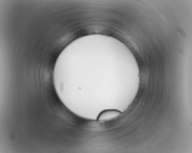 X0000116590126201001071241