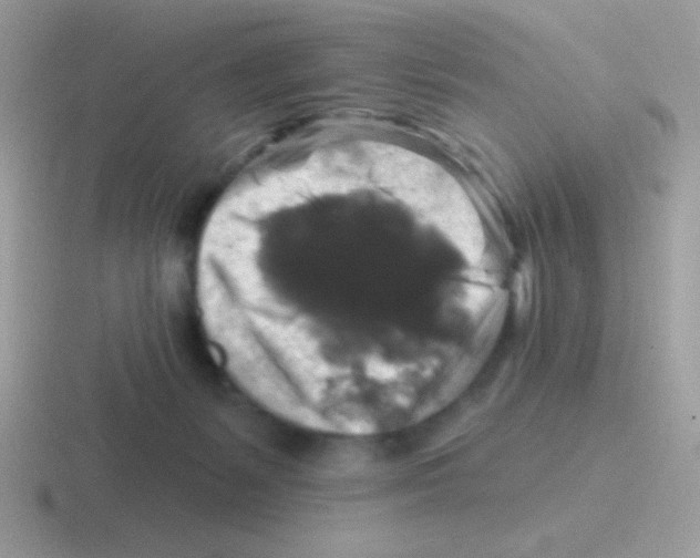 X0000116590127201001071241