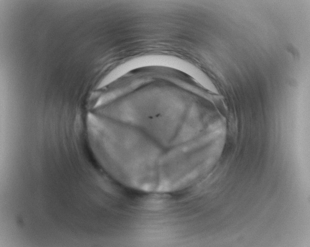 X0000116590128201001071241