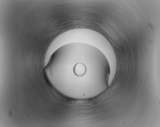 X0000116590129201001071241