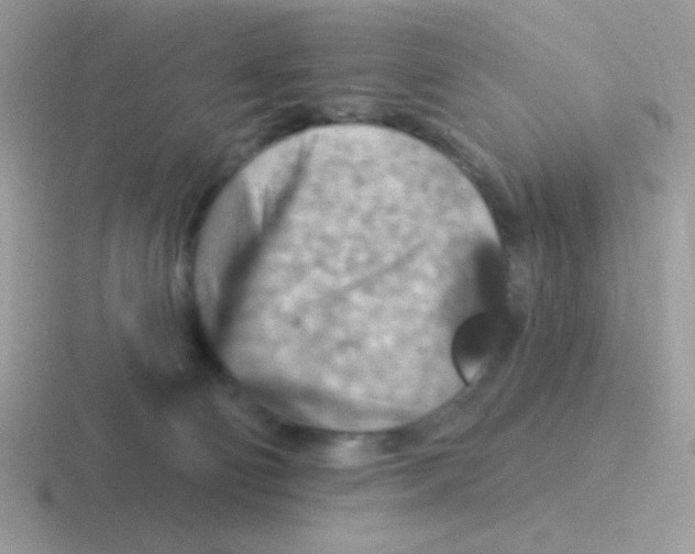 X0000116590130201001071241