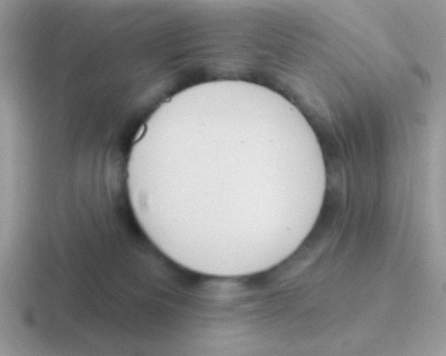 X0000116590133201001071241