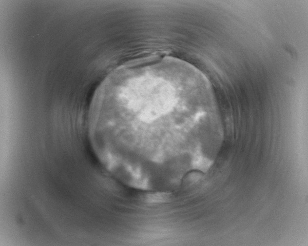 X0000116590134201001071241