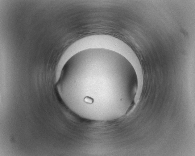 X0000116590136201001071241