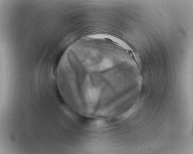 X0000116590140201001071241