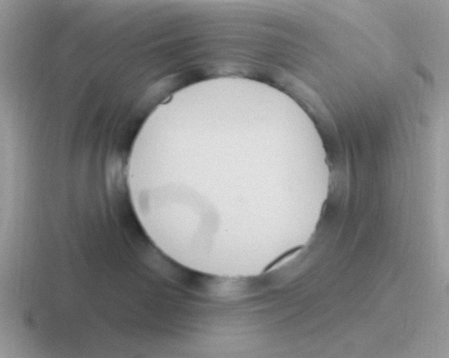 X0000116590142201001071241