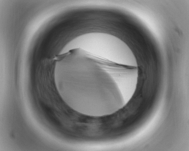 X0000116590143201001071241