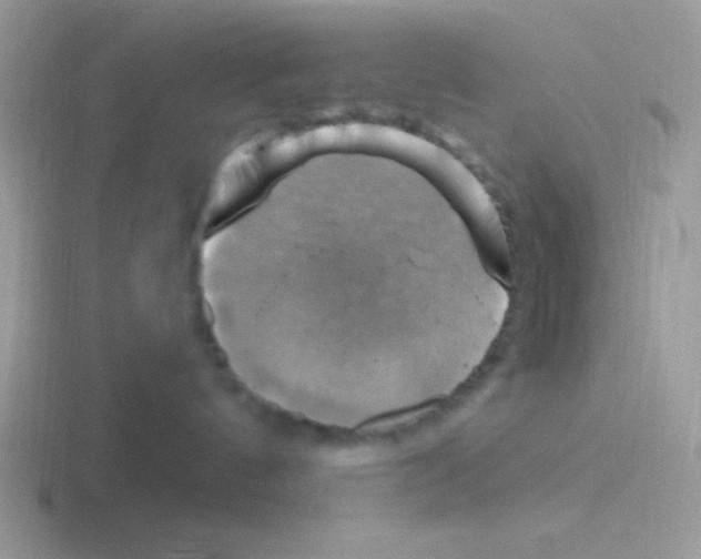 X0000116590144201001071241