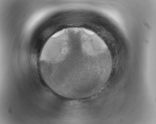 X0000116590146201001071240